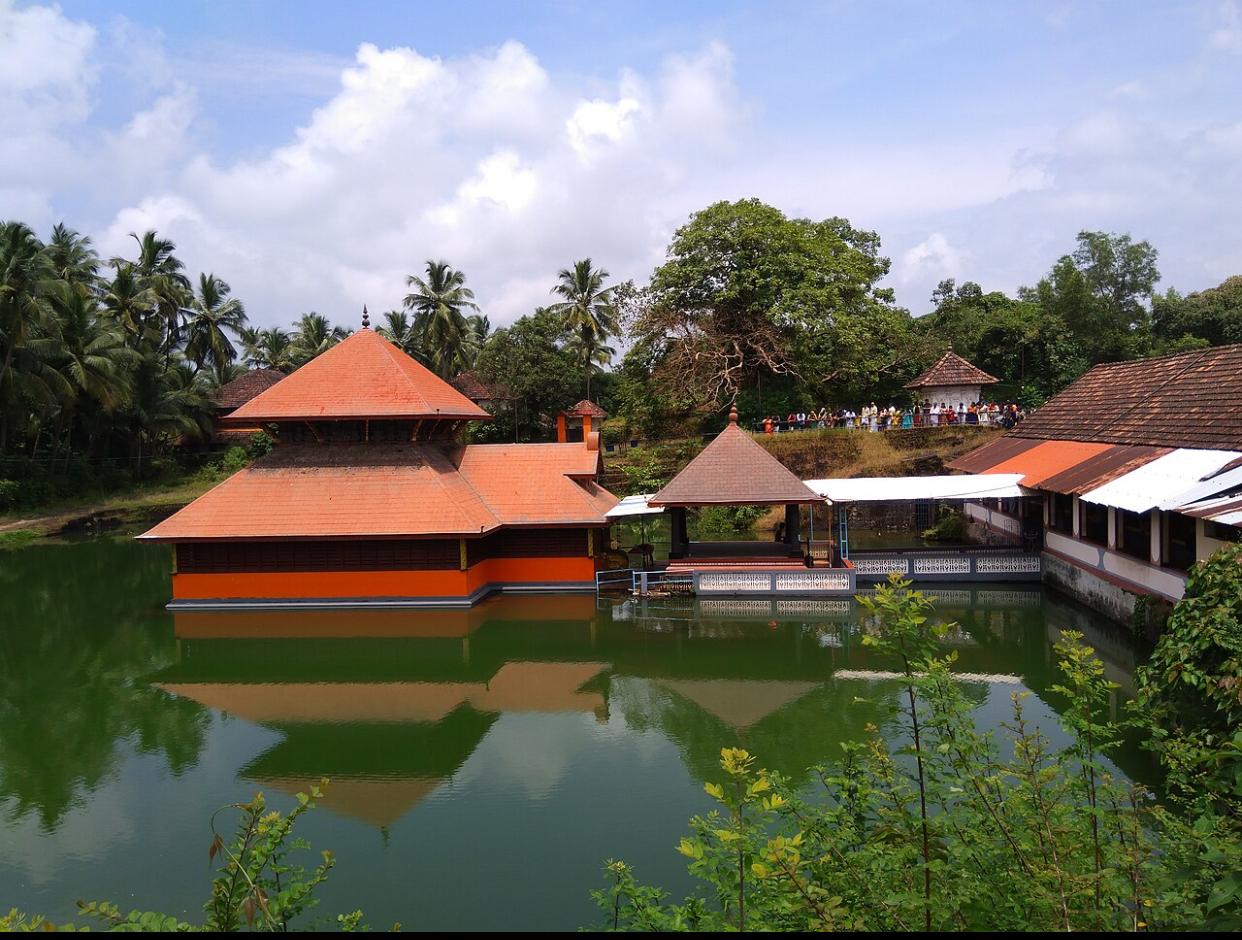ശ്രീ അനന്തപത്മനാഭ സ്വാമി ക്ഷേത്രം