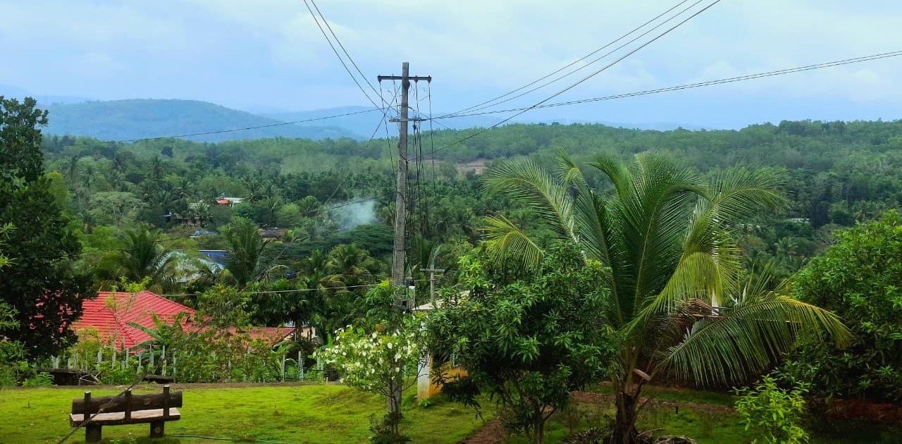 VIEW POINT