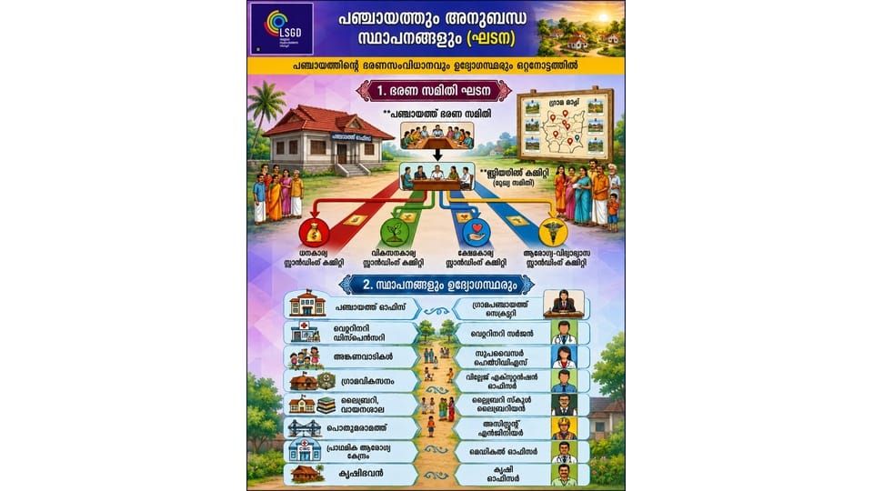 സ്ഥാപന ഘടന