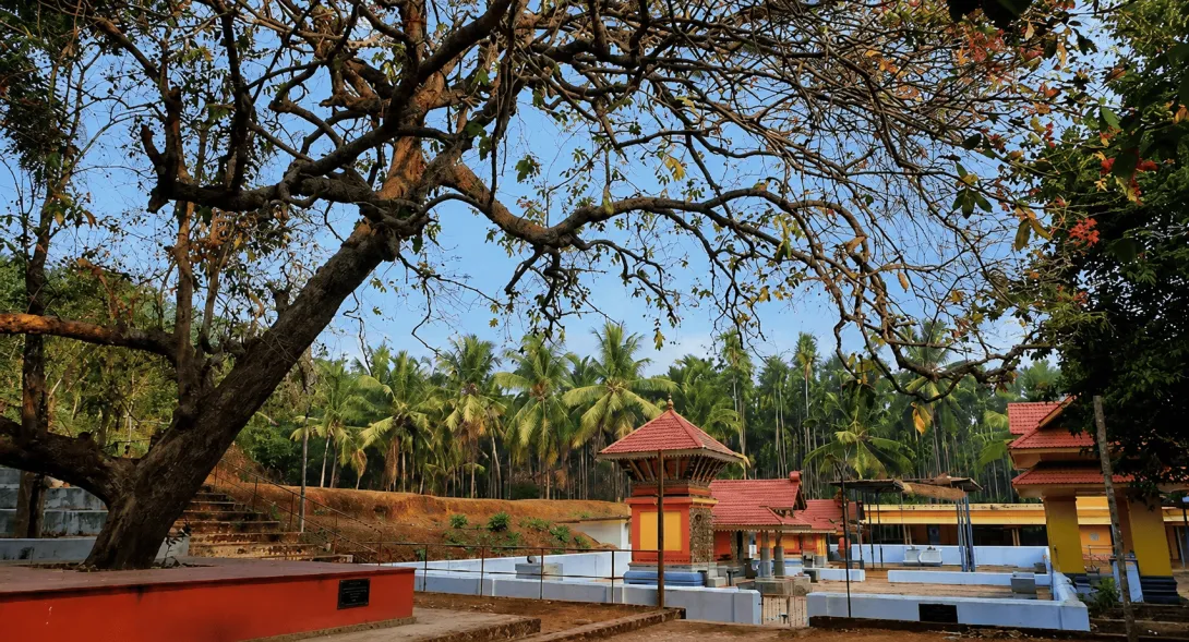 നാർക്കുളം ശ്രീ ഭഗവതി ക്ഷേത്രം