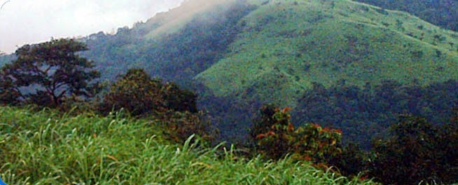 കോട്ടഞ്ചേരി ഇക്കോ ടൂറിസം