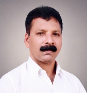 റോയി പി എല്‍