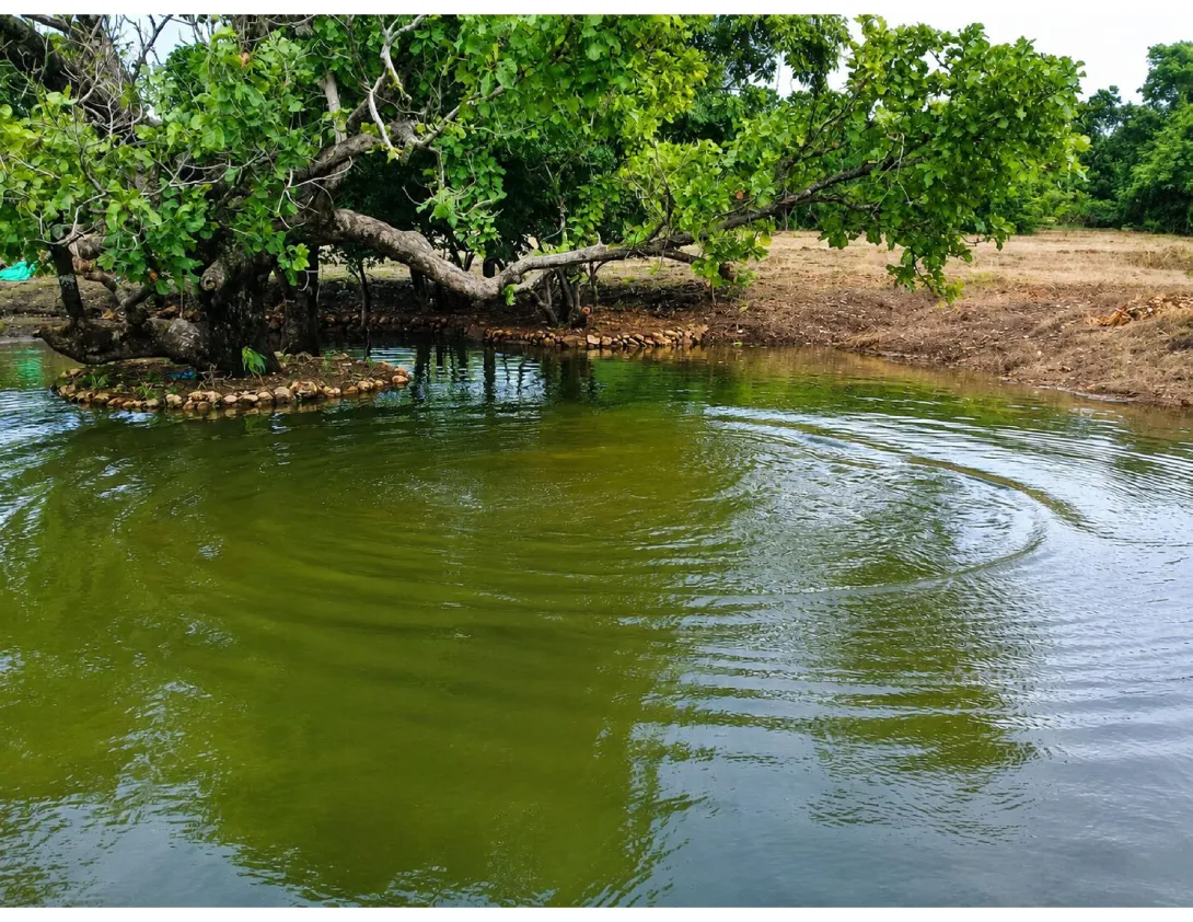 പുല്ലുമല പള്ളം