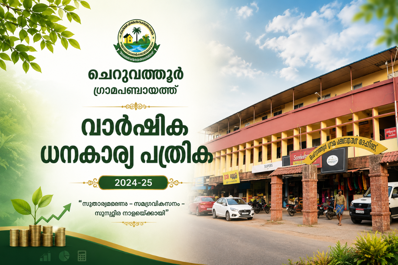 വാർഷിക ധനകാര്യ പത്രിക
