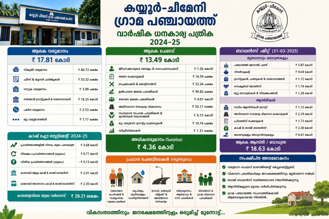 Annual Financial Statement 2024-25