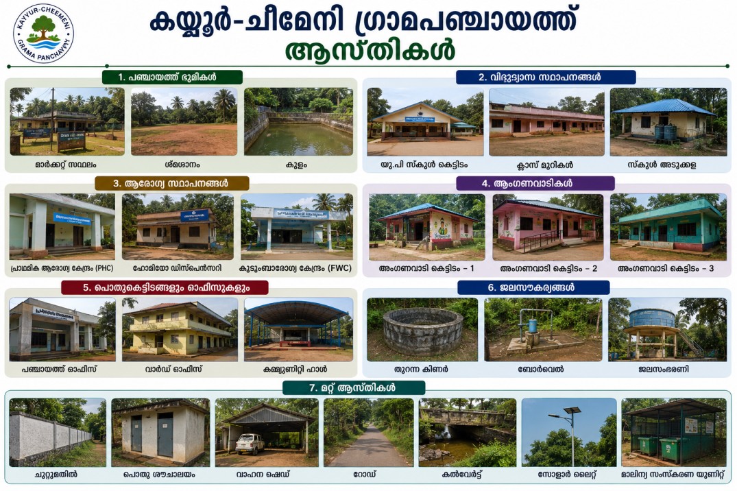 ആസ്തി വിരങ്ങൾ