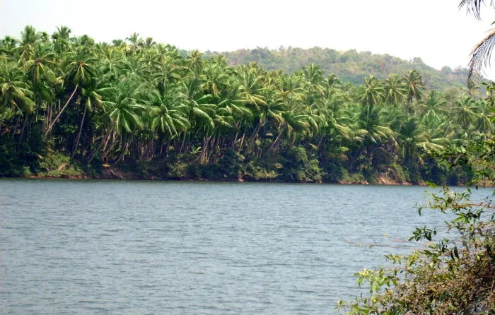 തേജസ്വിനി പുഴ