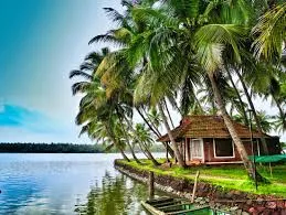 തെക്കേക്കാട് 