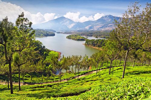 Munnar2