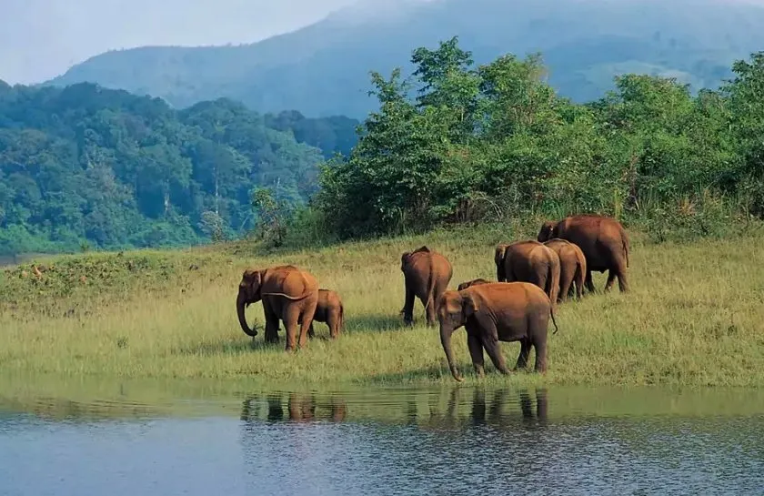 Thekkady