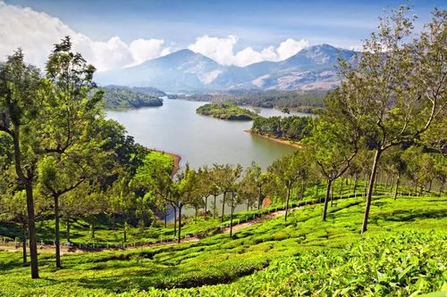 Munnar2